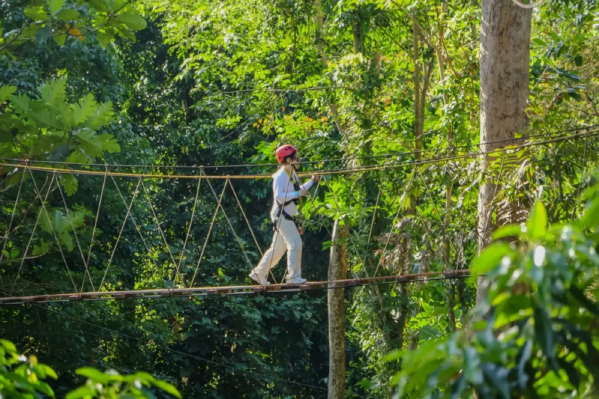 אומגות בפוקט – Hanuman World Zipline
