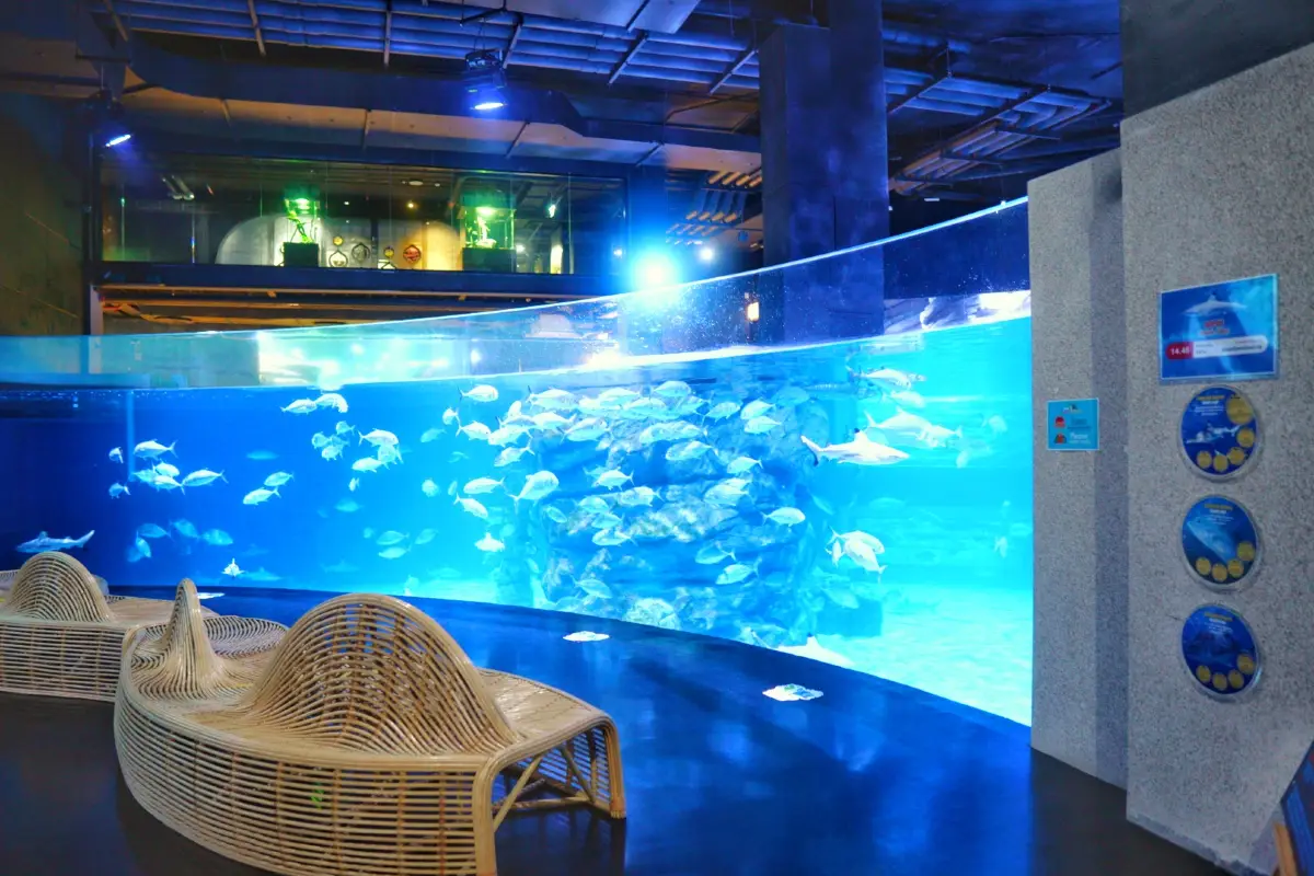 אקווריום פוקט – Phuket Aquarium