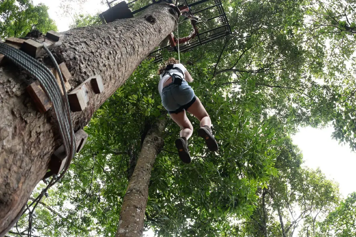 אומגות בצ'יאנג מאי – Zipline in Chiang Mai