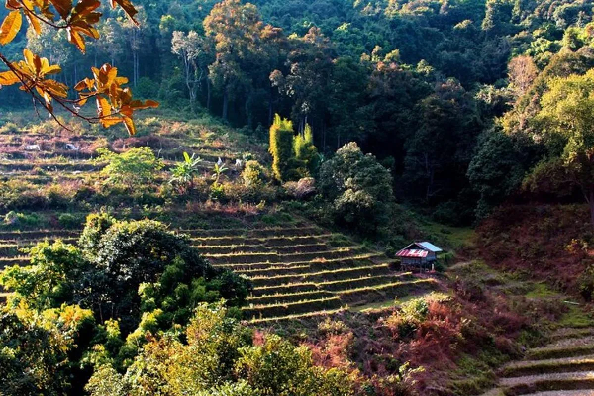 טיול יום לדוי אינתנון – Day tour to Doi Inthanon