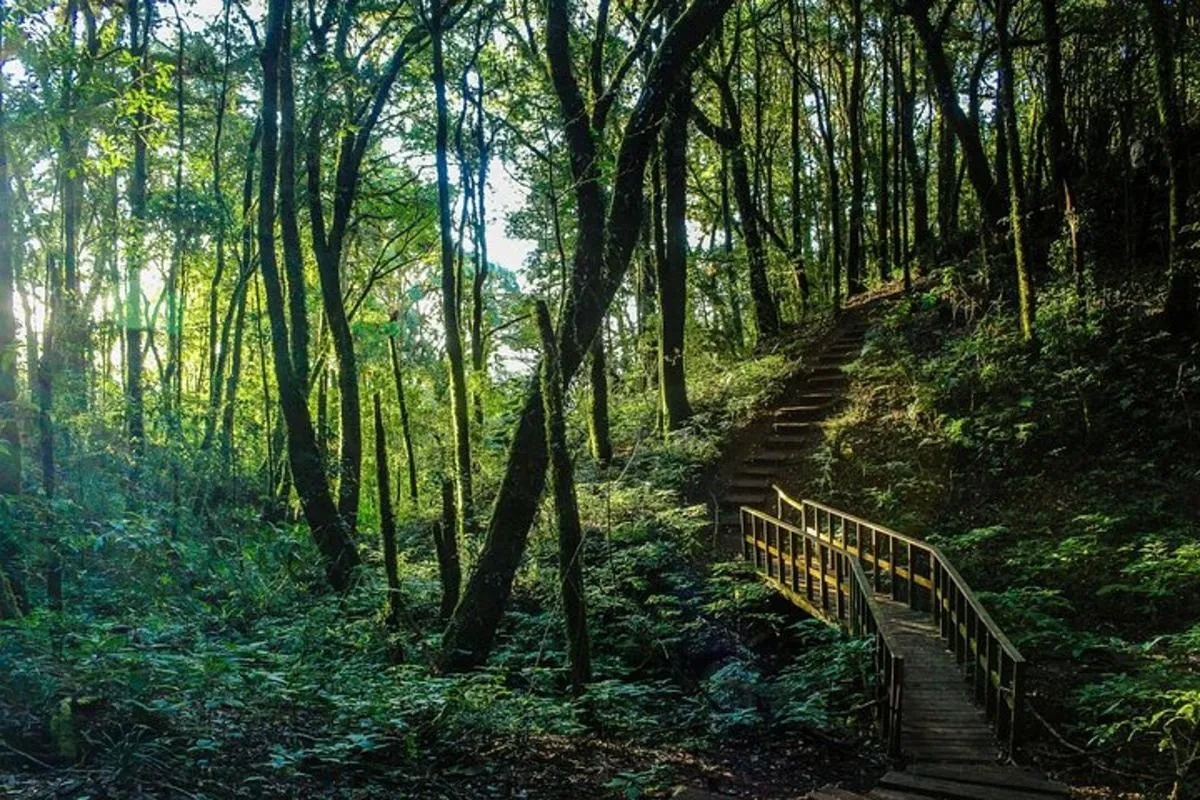 טיול יום לדוי אינתנון – Day tour to Doi Inthanon