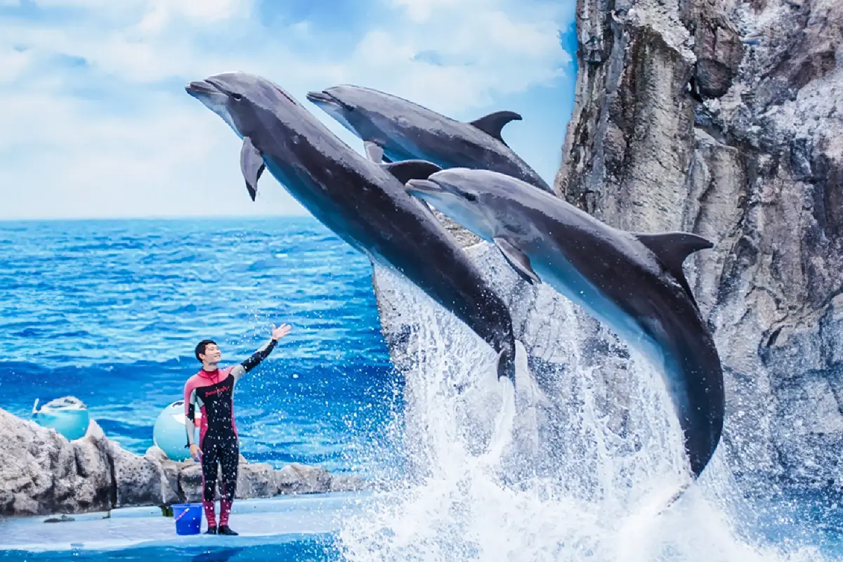 עולם הספארי בבנגקוק – Safari World Bangkok